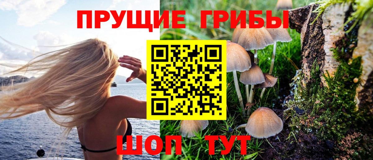 Галлюциногенные грибы мицелий Татарск
